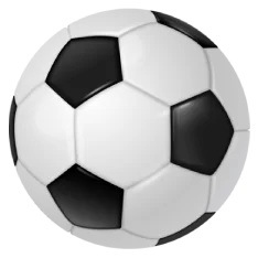 Implementos deportivos